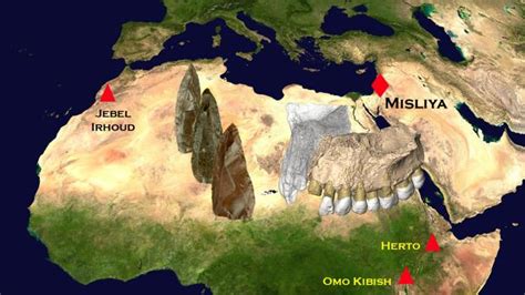Los primeros humanos salieron de África y llegaron a Asia antes de lo que se creía, revela hallazgo de fósiles